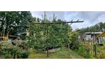Grundstück Hagenow - 8.000&euro; | Angebot:25303633