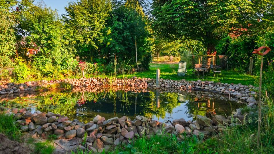 Sehr gepflegter Hof in ruhiger Lage mit 1,4 ha Land - ausbaufähig zimmer