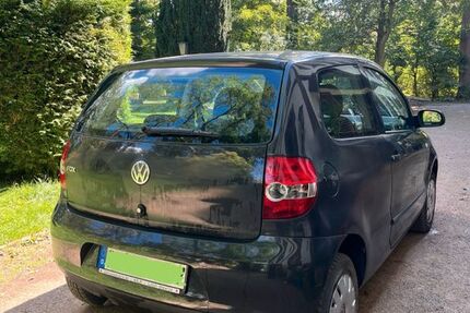 VW Fox