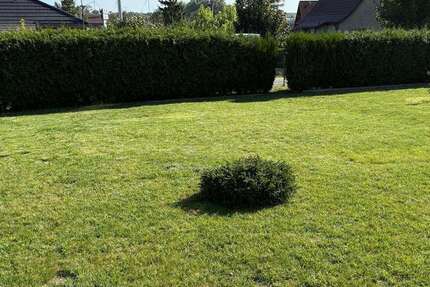 Grundstück zu verkaufen in Bernau bei Berlin 165.500 € 435 m² zimmer