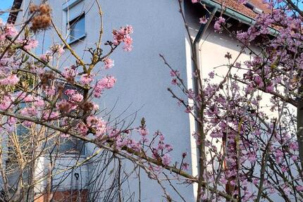 Haus Vilseck - 5 Zimmer, 130 m&sup2;, 270.000&euro; | Angebot:27088322