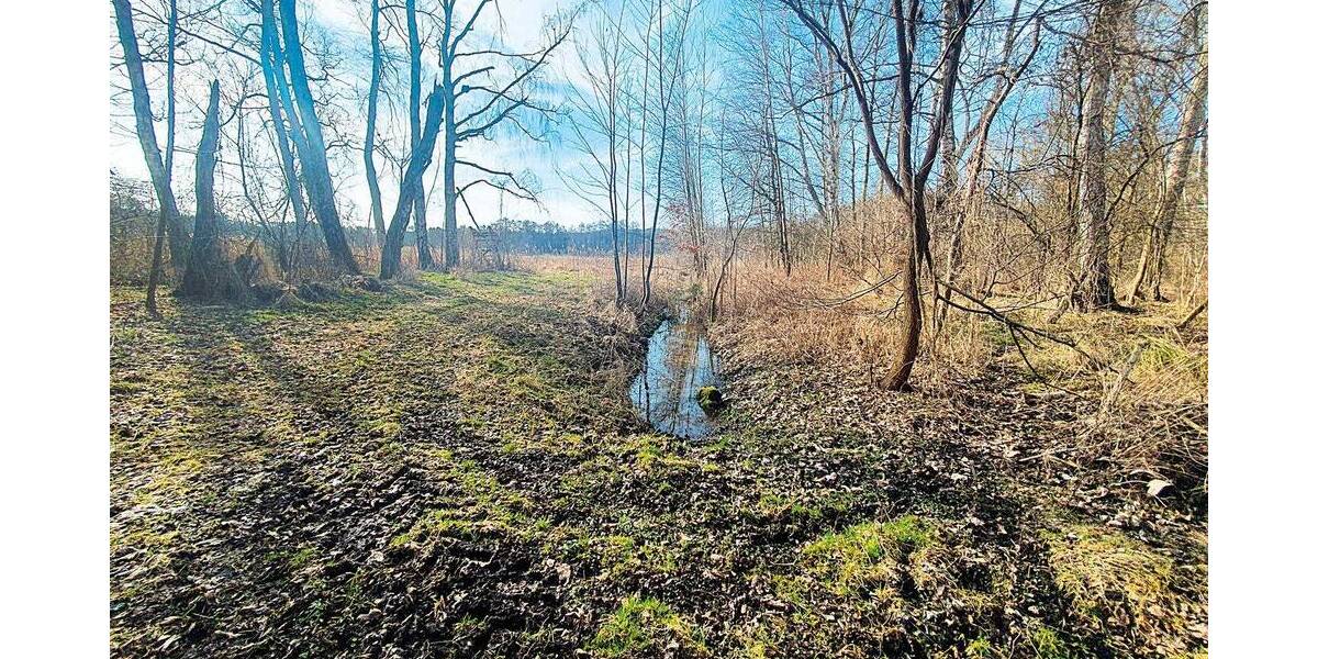 Grundstück Güstrow - 15.000&euro; | Angebot:25939510