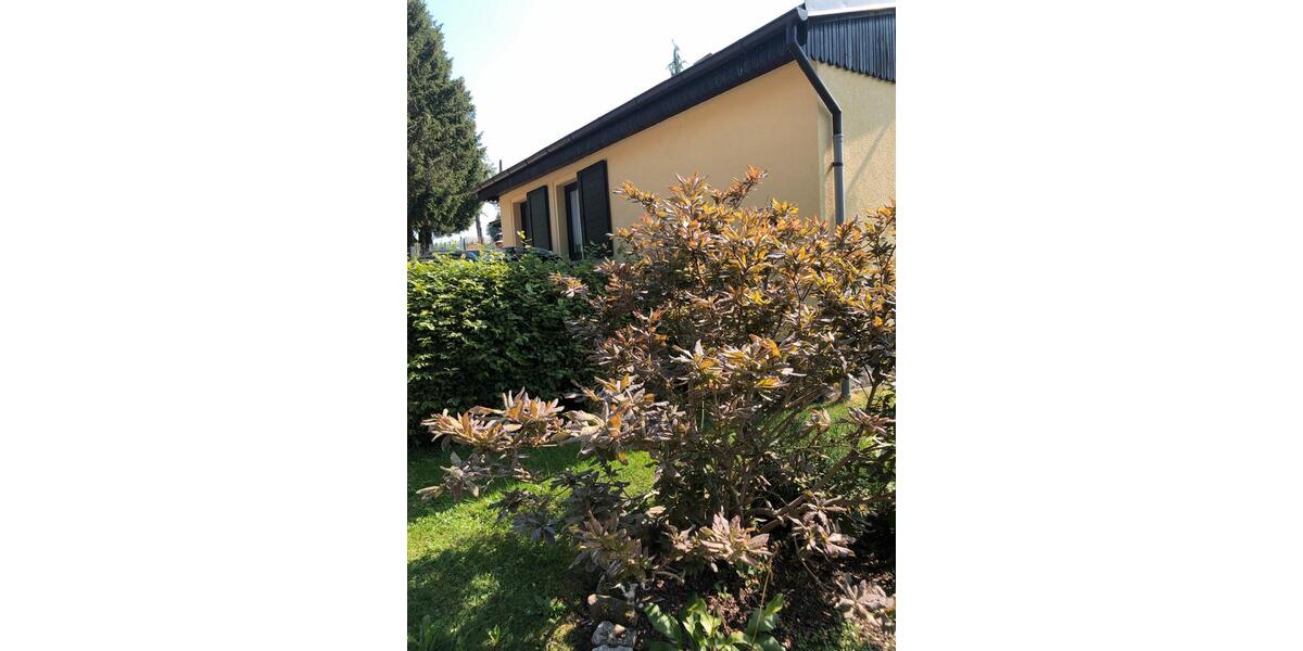 Bungalow Kirchberg - 3 Zimmer, 21 m&sup2;, 33.300&euro; | Angebot:26270662
