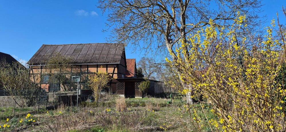 Stadtnahes Wohnen auf großem Grundstück - Viel Platz für Ihre Ideen - Einfamilienhaus Dannenberg | Angebot:26019453
