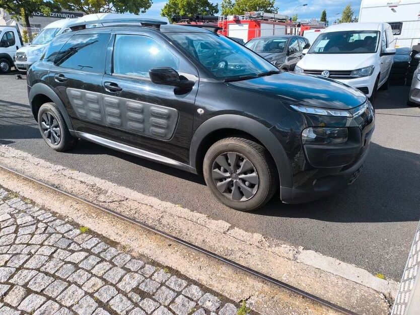 C4 Cactus