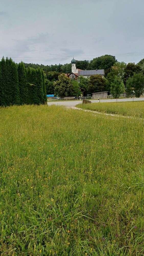 Grundstück zu verkaufen in Bayerbach 245.500 € 1445 m²