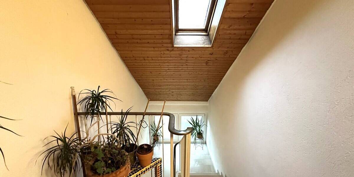 Mehrfamilienhaus, Wohnhaus Seeheim-Jugenheim Seeheim - 1 Zimmer, 294 m&sup2;, 999.000&euro; | Angebot:26528685