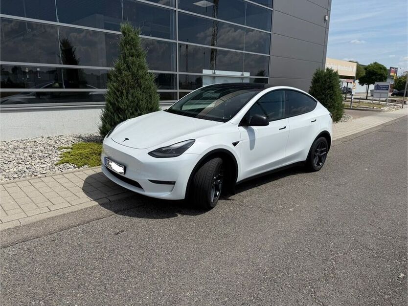 Model Y