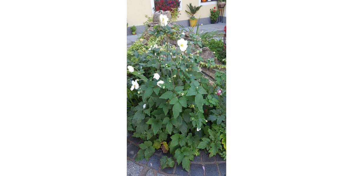 Grundstück Bruchsal - 218.000&euro; | Angebot:24323177