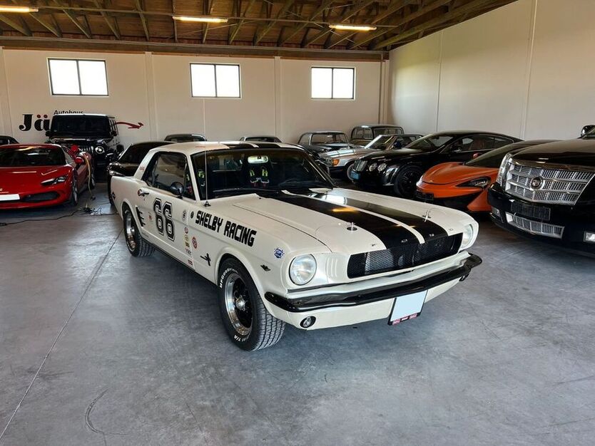 Mustang