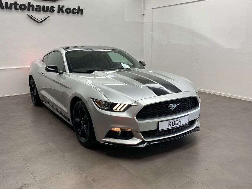 Mustang