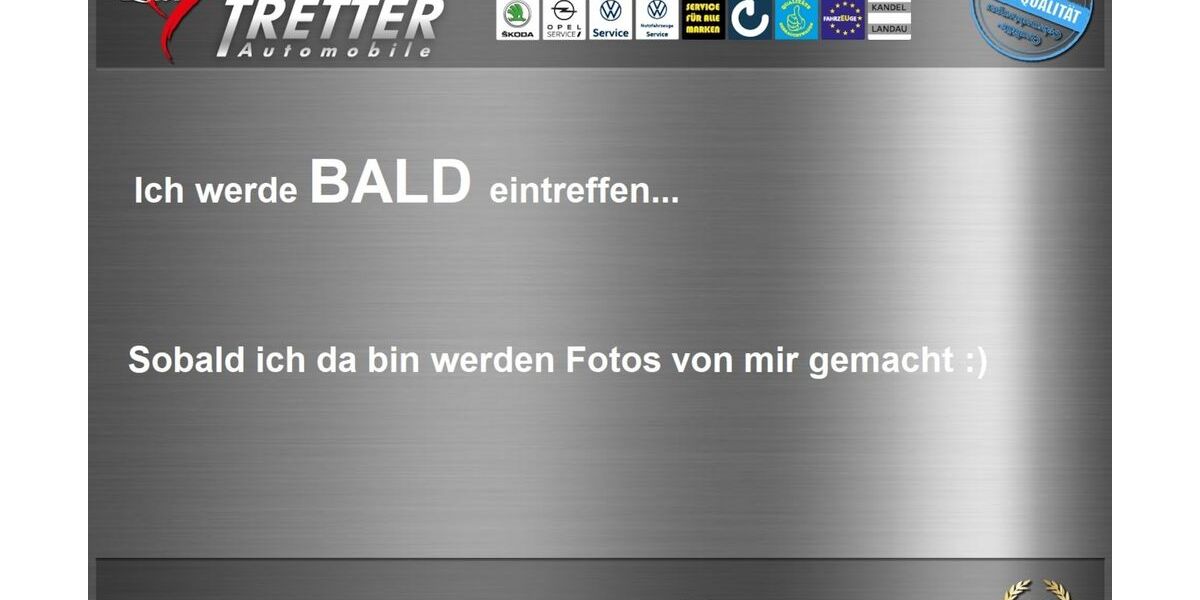 Skoda Enyaq 61.550 km 19.990 &euro; Landau in der Pfalz 76829