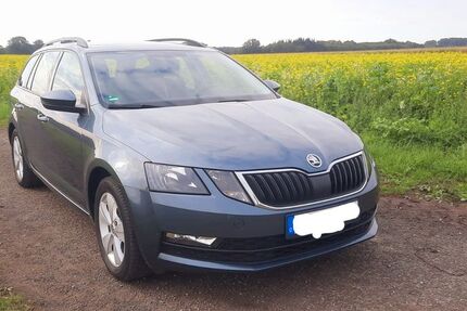 Skoda Octavia 127.000 km 12.900 € Altenoythe 26169