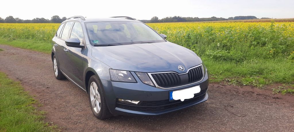 Skoda Octavia 127.000 km 12.900 € Altenoythe 26169