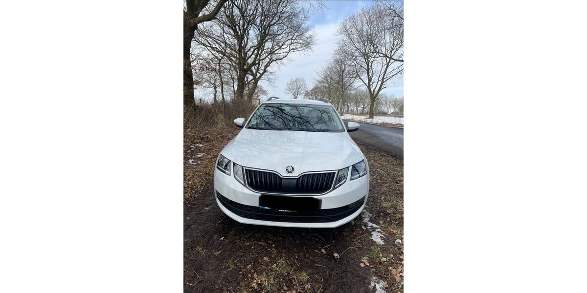 Skoda Octavia 190.000 km 10.500 &euro; Buchholz 25712