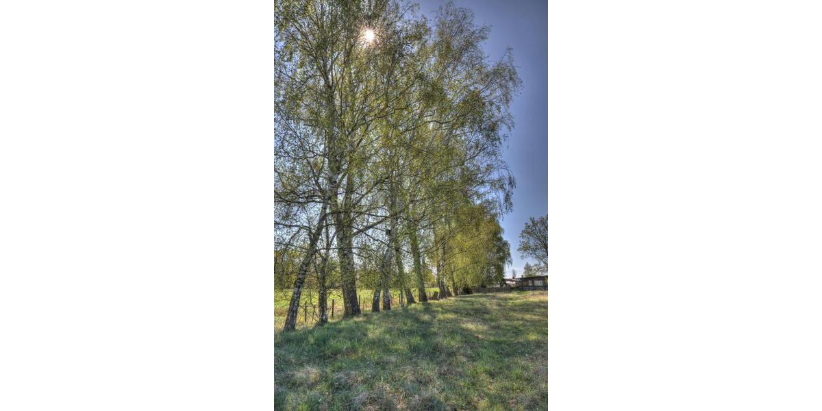 Mehrfamilienhaus, Wohnhaus Burg - 79.000&euro; | Angebot:26818529