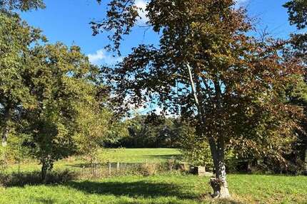 Grundstück Nienhagen - 80.000&euro; | Angebot:23334373