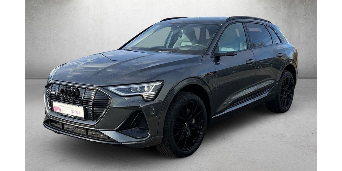 Audi e-tron 33.119 km 39.980 &euro; Mainz 55131