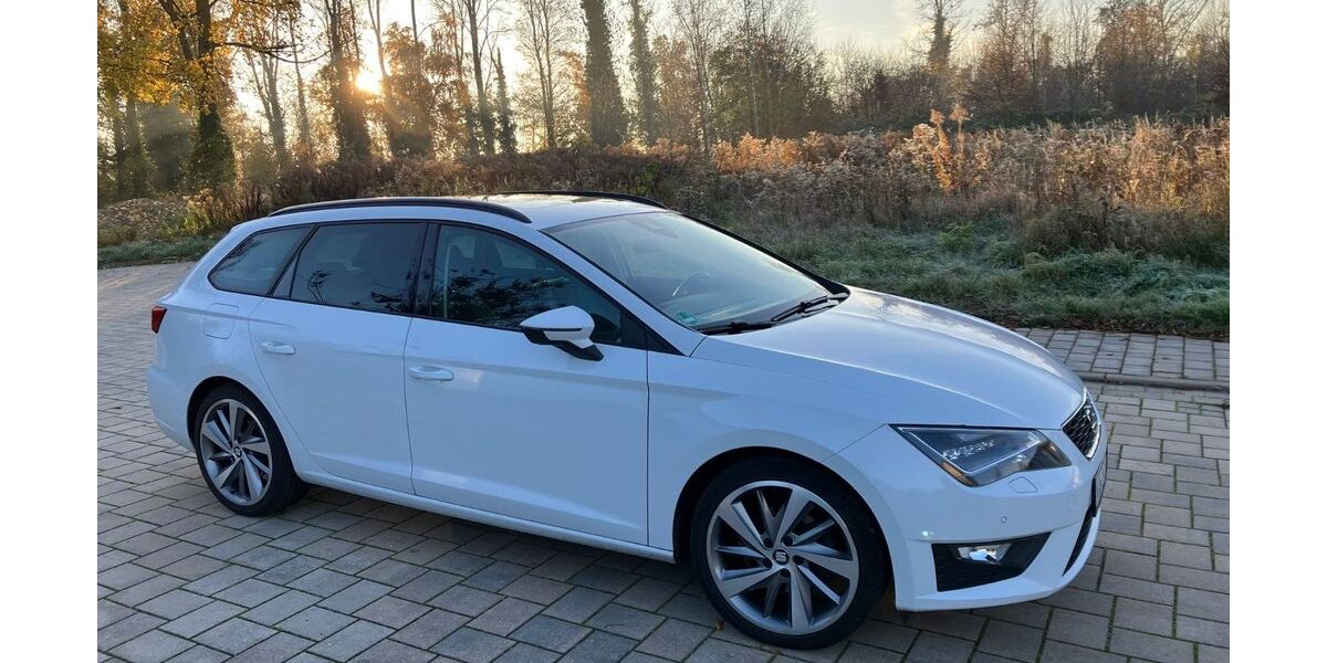 Seat Leon 118.200 km 14.999 € Gondelsheim 75053