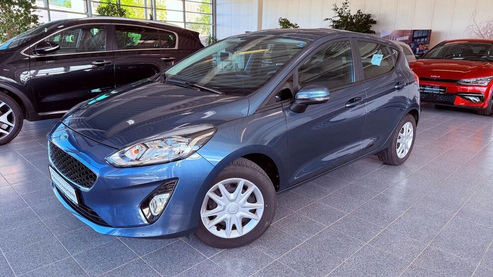 Ford Fiesta 17.300 km 11.575 € Münchberg 95213