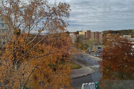 Wohnung Wolfsburg Alt-Wolfsburg - 3 Zimmer, 68 m&sup2;, 135.000&euro; | Angebot:25589249