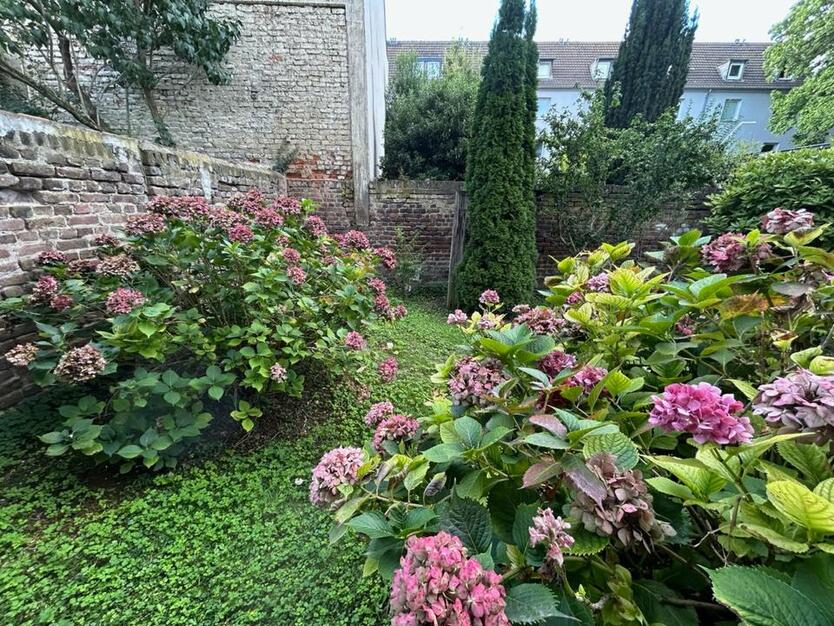 Freies Apartment mit Gartenblick, provisionsfrei, BN-Weststadt