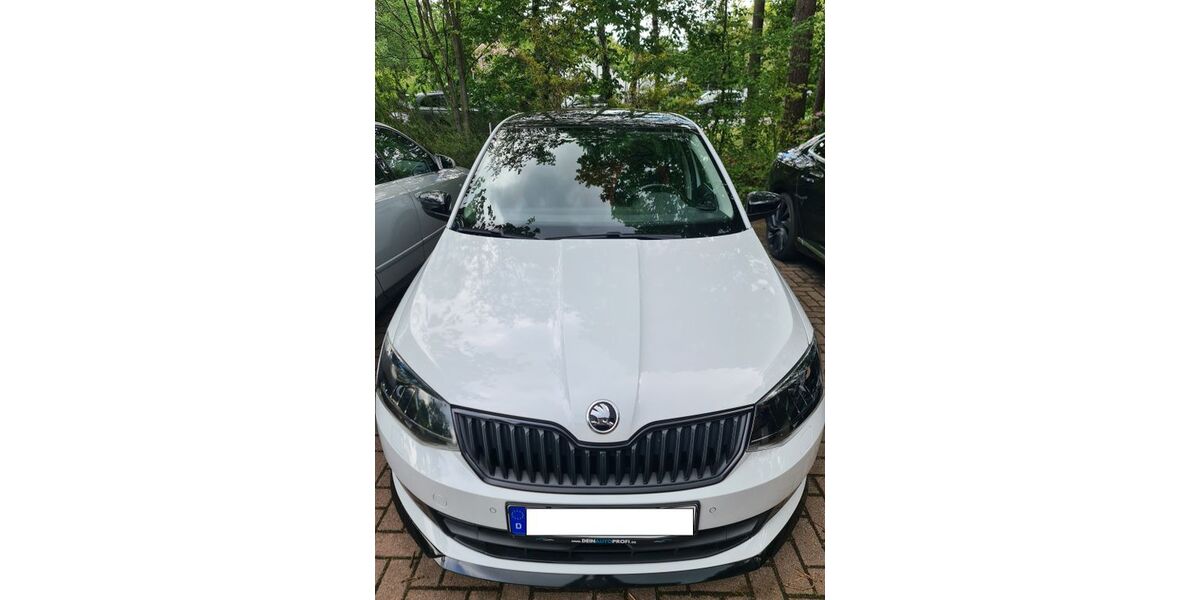 Skoda Fabia 100.000 km 12.500 &euro; Wathlingen 29339