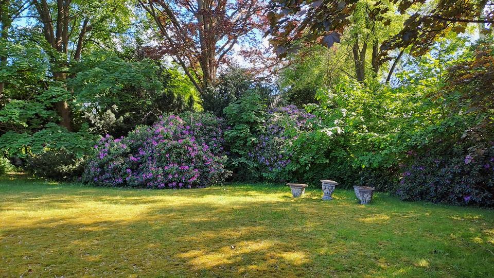 Einfamilienhaus Holzminden - 10.5 Zimmer, 294 m&sup2;, 420.000&euro; | Angebot:27004043