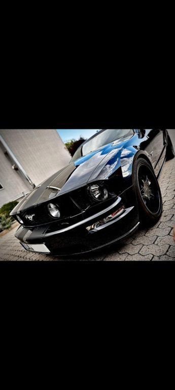 Mustang