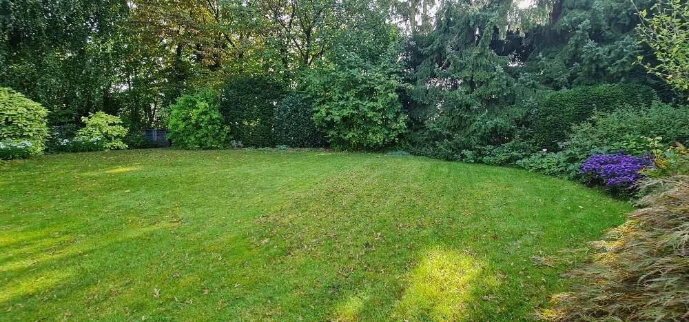 Grundstück zu verkaufen in Dormagen-Zons 439.000 € 660 m² zimmer