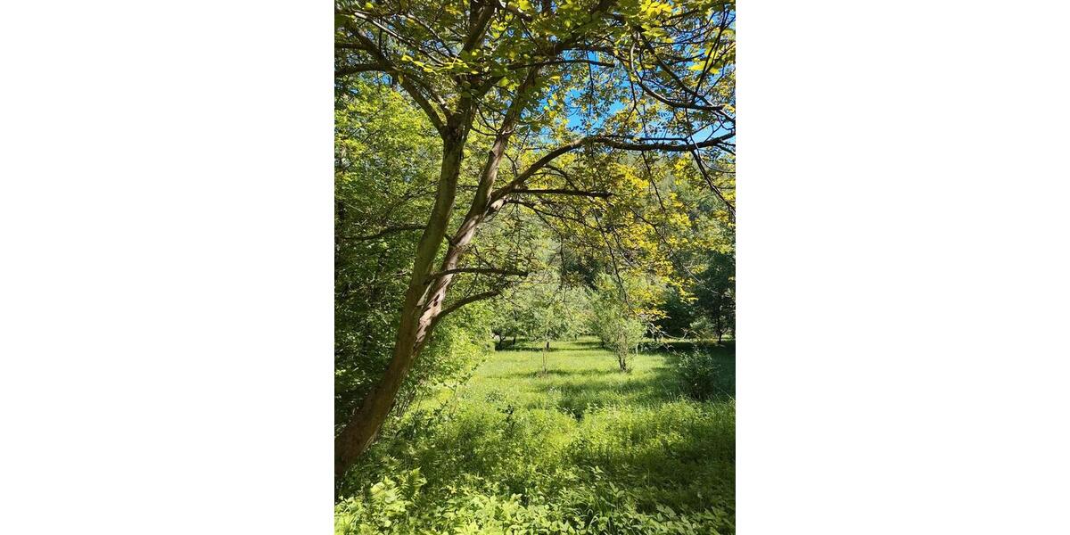 Grundstück Köln Ehrenfeld - 60&euro; | Angebot:26688724