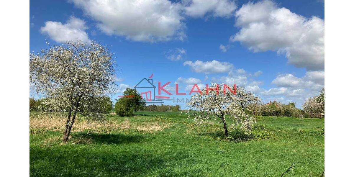 Grundstück Zepelin / Oettelin Zepelin - 300.000&euro; | Angebot:26433449