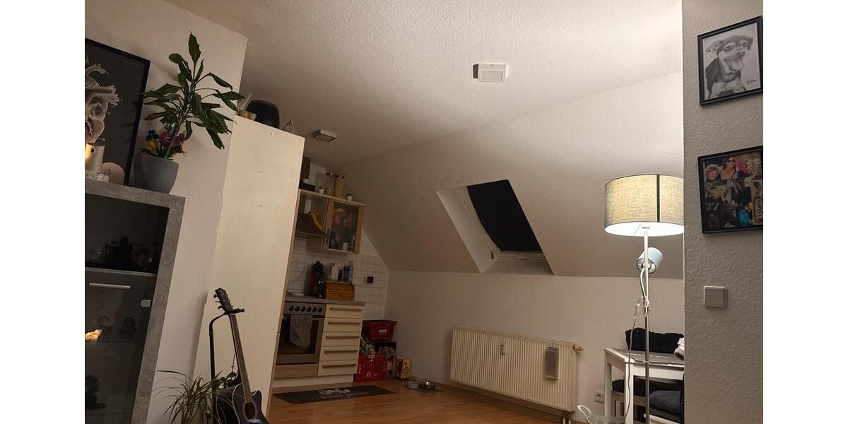 Dachgeschoßwohnung Amt Creuzburg - 1 Zimmer, 48 m&sup2;, 450&euro; | Angebot:25423298