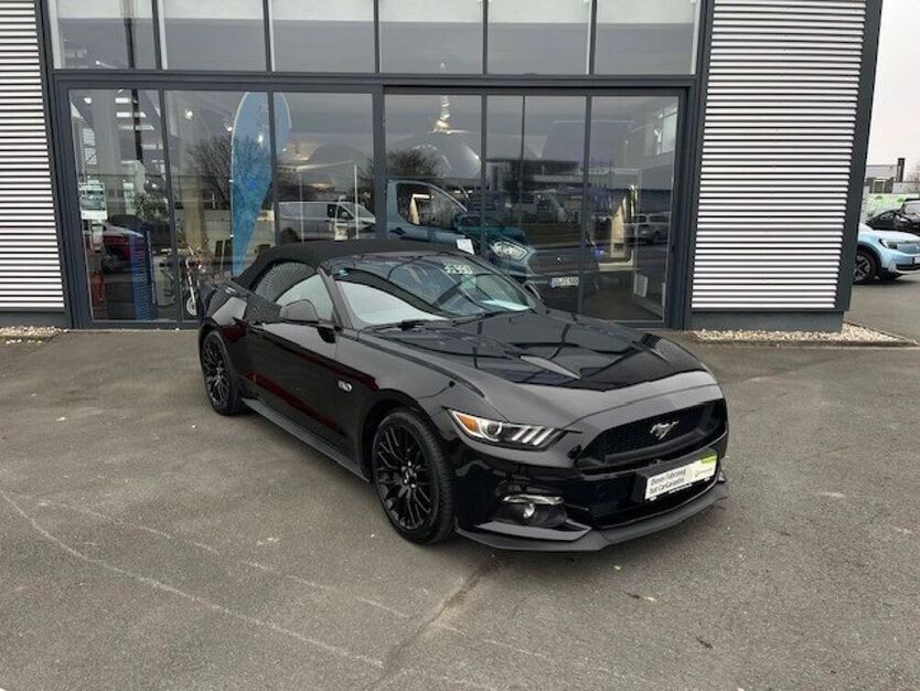 Mustang