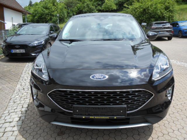 Kuga