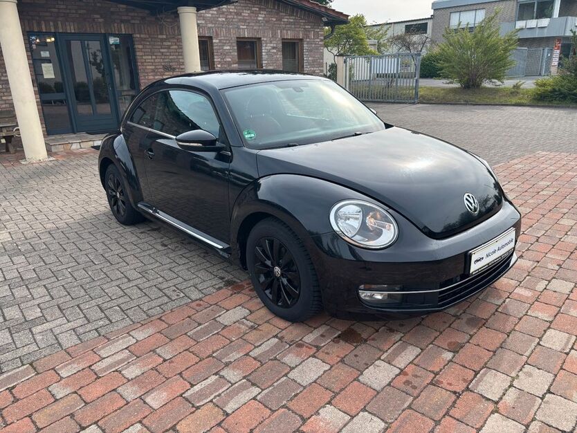 Beetle