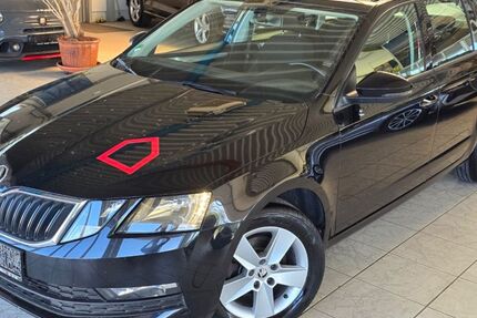 Skoda Octavia 173.000 km 9.690 &euro; Ichenhausen 89335