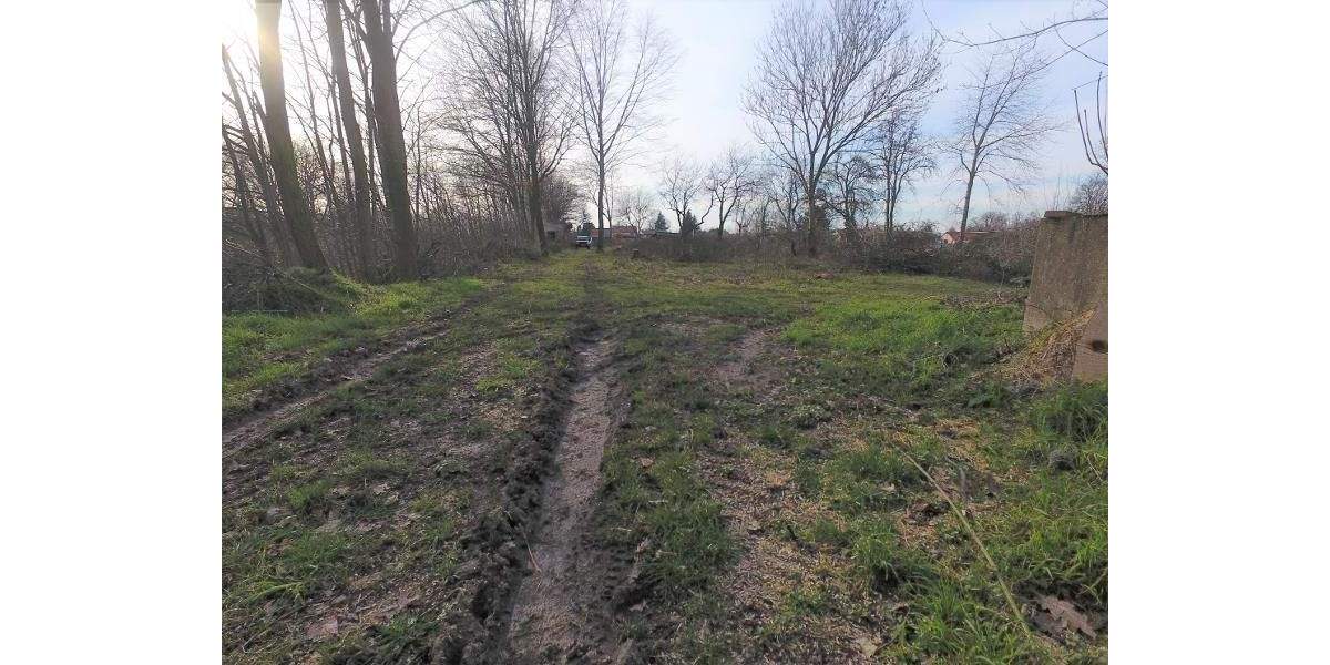 Grundstück Machern - 185.000&euro; | Angebot:24036204