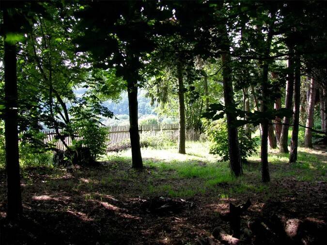 865m² Grundstück am ruhigen Waldrand | Ideal für Einfamilienhaus oder Doppelhaus