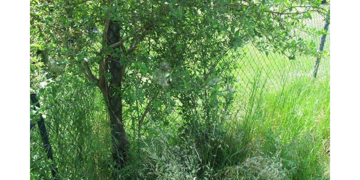 Grundstück Burgkirchen an der Alz Grasset - 338.000&euro; | Angebot:25769722