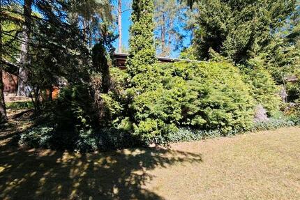 Haus Schorfheide - 30.000&euro; | Angebot:27043126