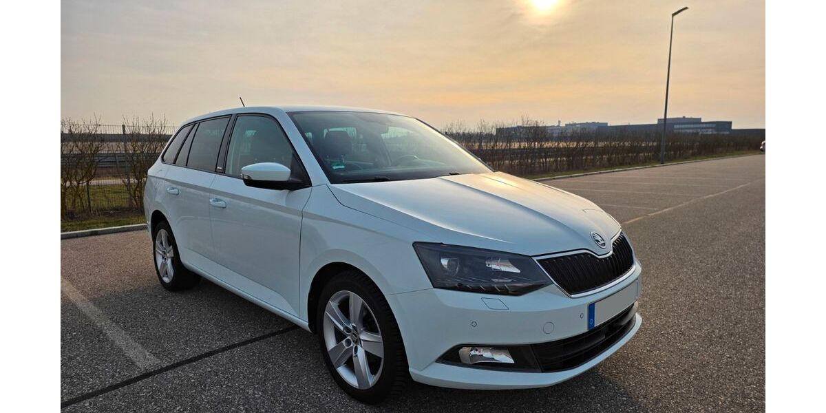 Skoda Fabia 171.000 km 7.990 &euro; Ingolstadt 85049