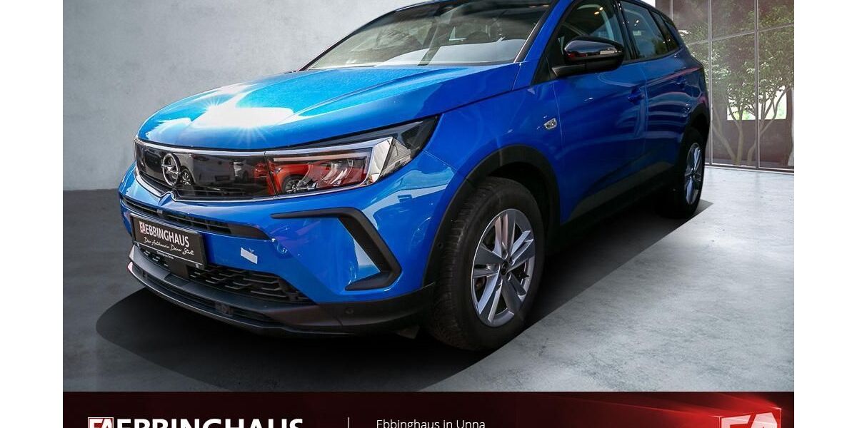 Opel Grandland (X) 29.126 km 16.499 &euro; Unna 59423