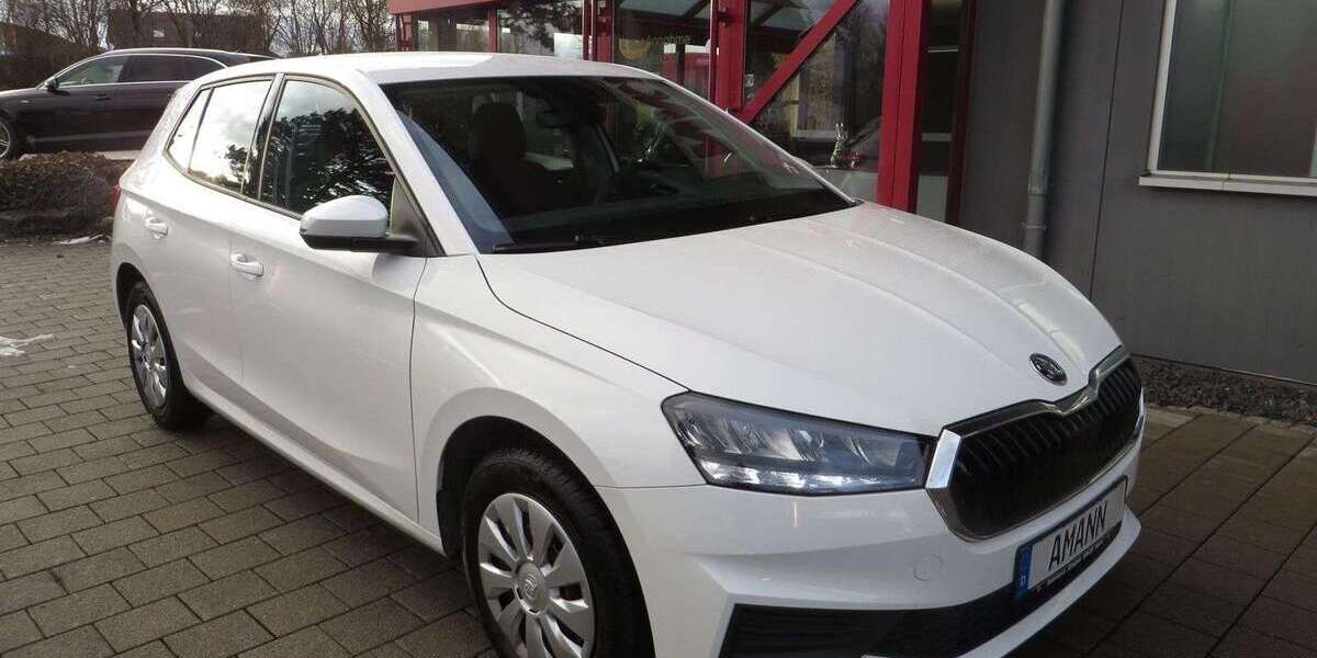 Skoda Fabia 8.160 km 16.900 &euro; Wald 88639