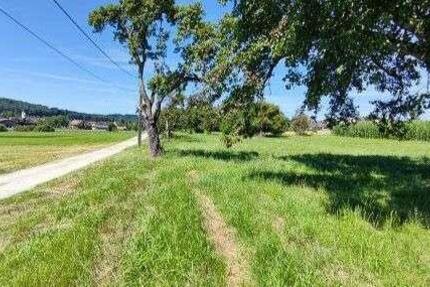 Grundstück Singen (Hohentwiel) - 57.700&euro; | Angebot:18992832