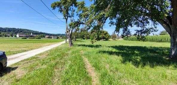 Grundstück Singen (Hohentwiel) - 57.700&euro; | Angebot:18992832