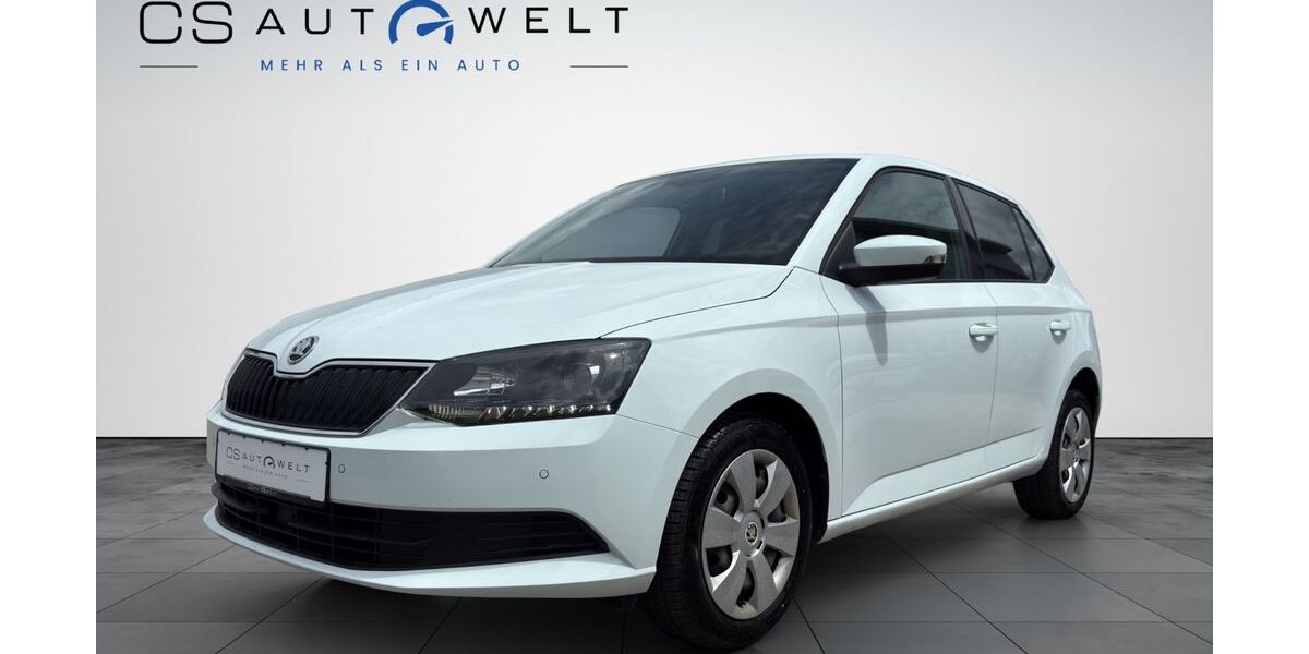 Skoda Fabia 82.300 km 8.790 &euro; Georgensgmünd 91166