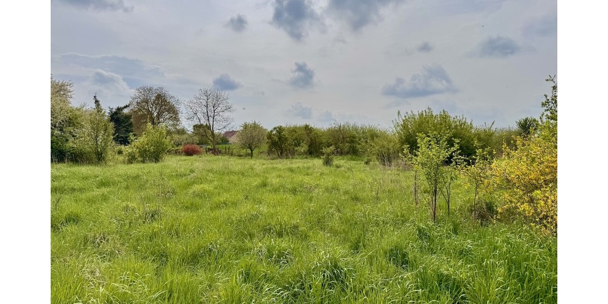 HORN IMMOBILIEN++ Dreifamilienhaus in Penkun mit großem Grundstück - Mehrfamilienhaus, Wohnhaus Penkun | Angebot:26815144