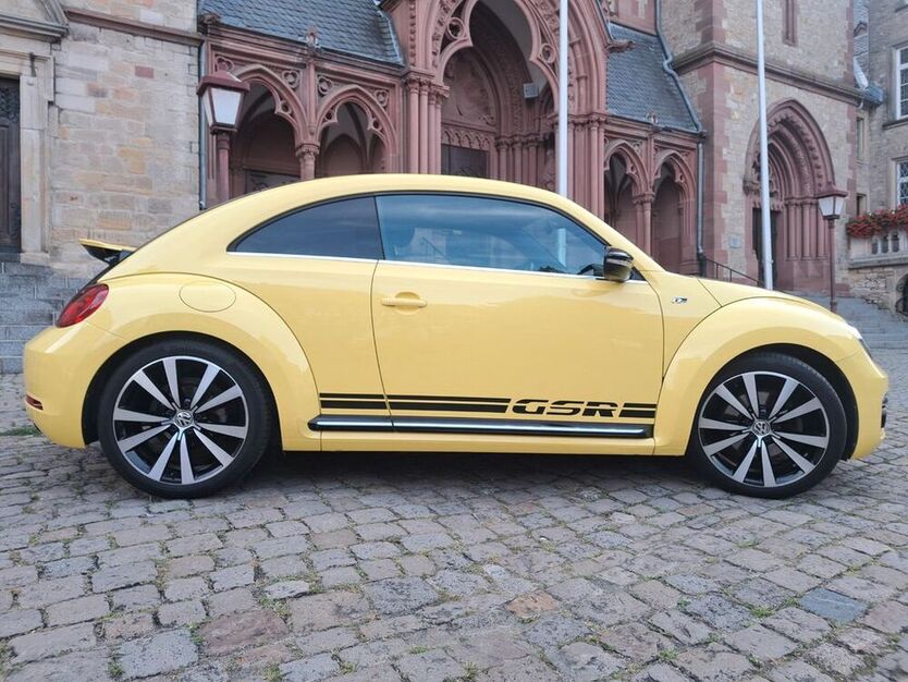 Beetle