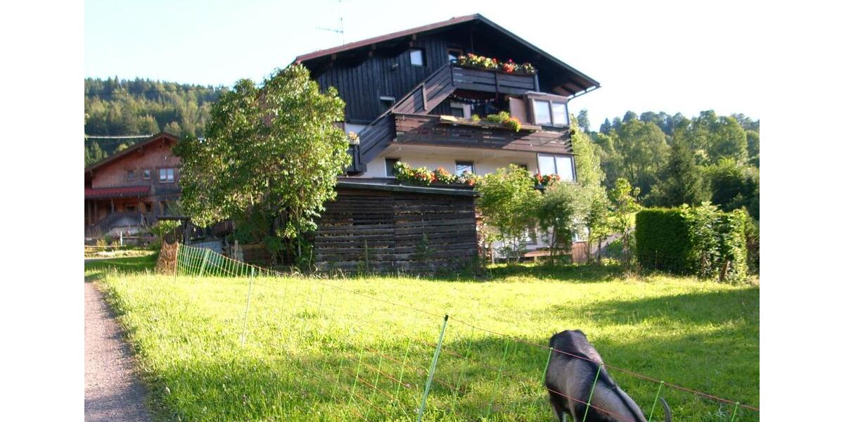Mehrfamilienhaus, Wohnhaus Bad Hindelang - 10 Zimmer, 270 m&sup2;, 685.000&euro; | Angebot:27130734